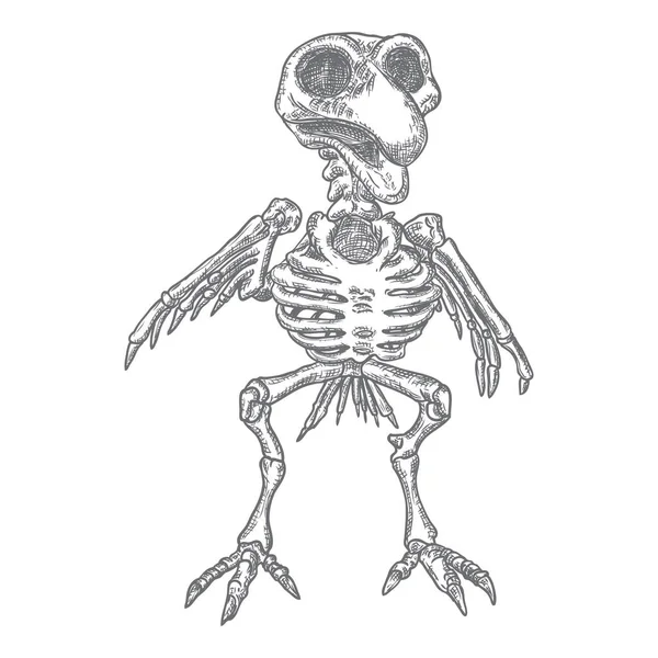 Squelette Oiseau Sorcellerie Magique Attribut Occulte Élément Décoratif Dessin Manuel — Image vectorielle