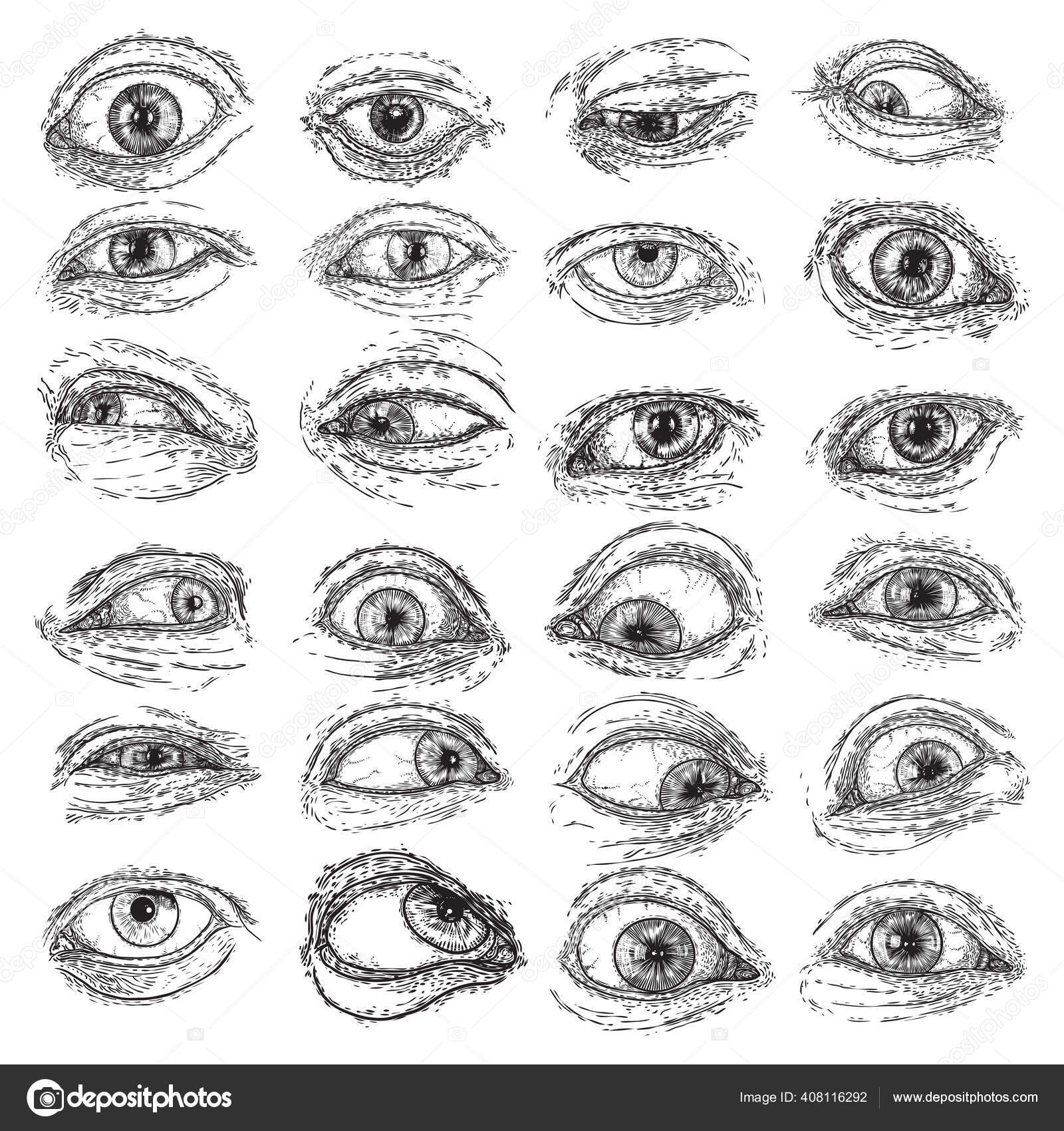 神の摂理 Vector Art Stock Images Depositphotos