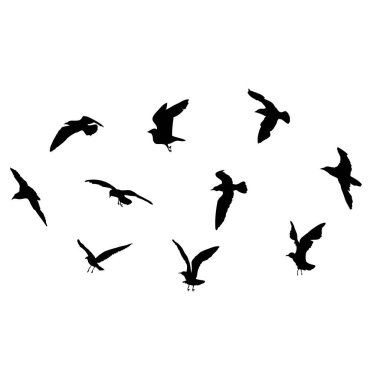 Beyaz arka planda uçan martı sürüsü. Vücut ya da deniz kuşlarının dövmeleri için ilham verici. Vektör.