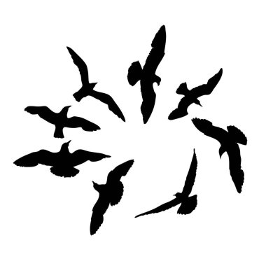 Set of seagulls birds, nautical sailor tattoo sketch. Black stroke of flying sea gull silhouettes on white background. Marine set. Drawings of different shapes of water birds in the flock. Vector. clipart