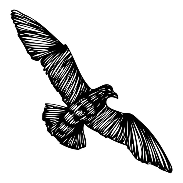 Isolated Marine Shape Stroke Silhouette Seagull Bird Flying Air Inspirational — 图库矢量图片