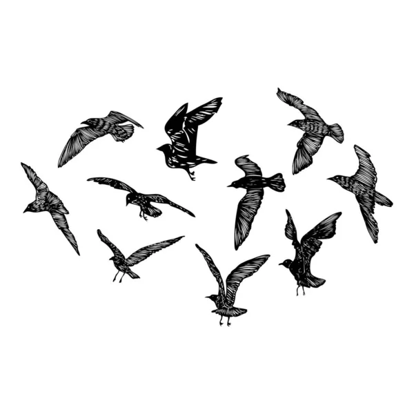 Conjunto Aves Gaviotas Boceto Tatuaje Marinero Náutico Golpe Negro Siluetas — Archivo Imágenes Vectoriales