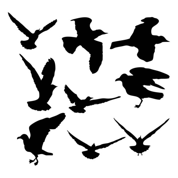 Silhouette of flying seagulls birds on white background. Inspirational sailor body or flesh ink tattoo of sea gulls. Vector.