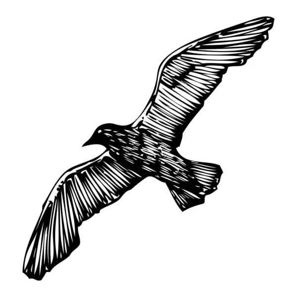 Oiseau Mouettes Croquis Tatouage Marin Nautique Coup Noir Silhouette Goéland — Image vectorielle