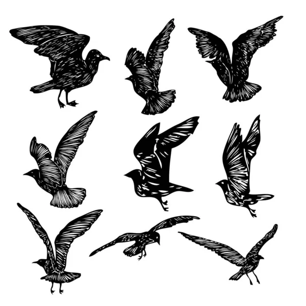 Ensemble Traits Dessinés Main Noir Oiseaux Mouettes Troupeau Dessin Croquis — Image vectorielle