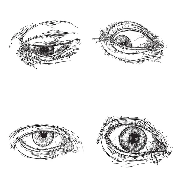 Conjunto Varios Dibujos Del Ojo Humano Diferentes Direcciones Emociones Todo — Archivo Imágenes Vectoriales