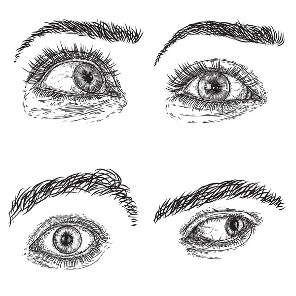 Kadın Erkek Gözleri Kaşları Izole Etti Kirpiklerle Yakın Açık Görüş — Stok Vektör