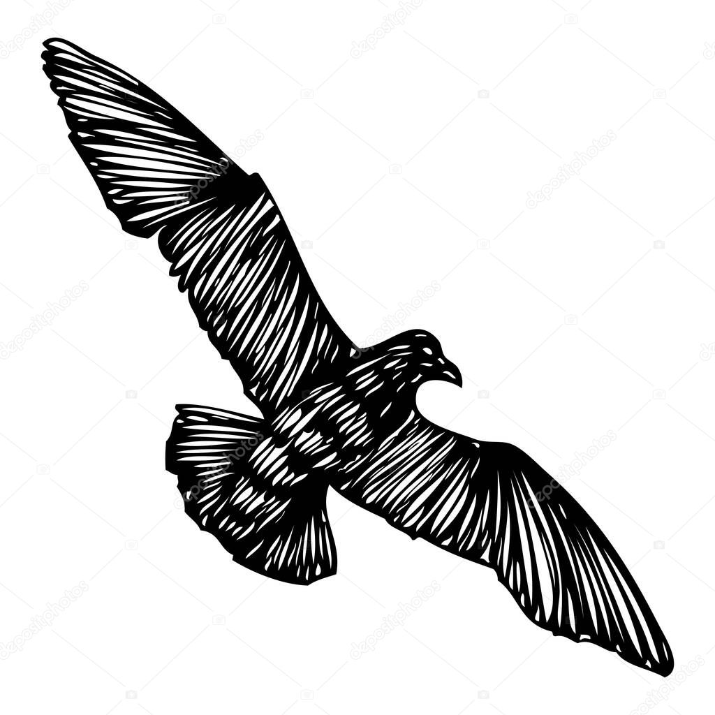 Isolated marine shape stroke silhouette of seagull bird flying in the air Inspirational body or flesh ink tattoo for sailor Vector.