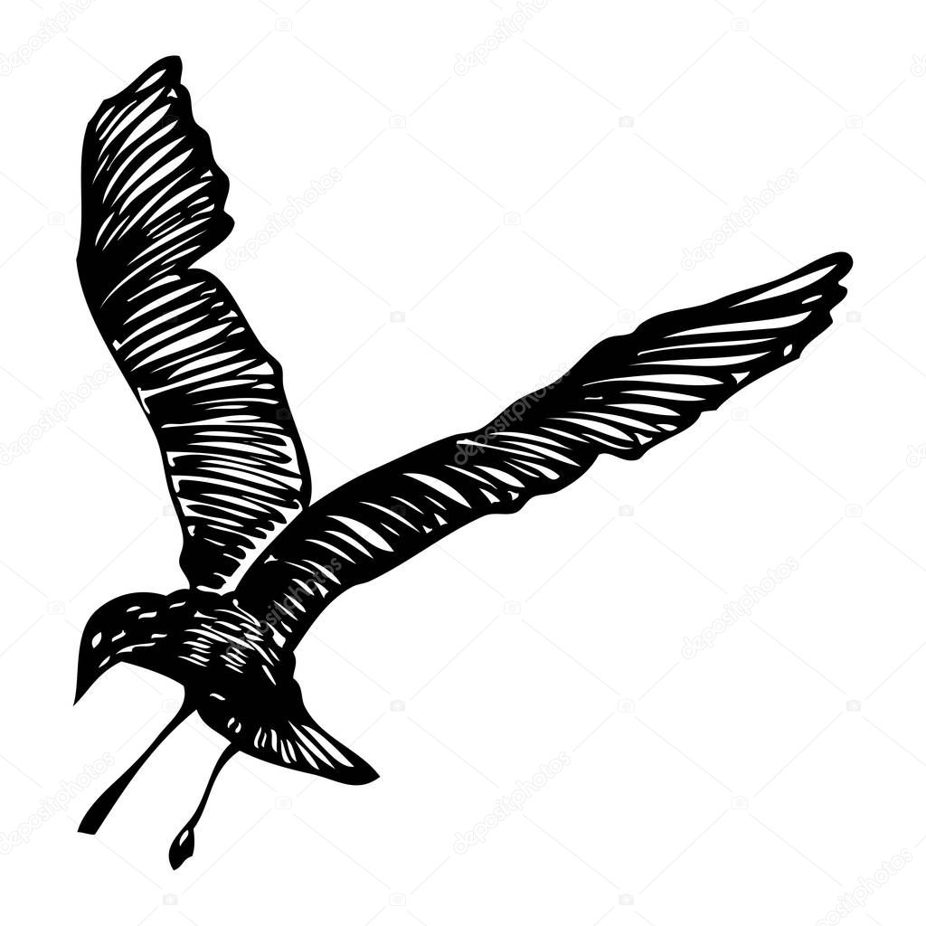 Black seagull, hand drawn strokes marine sea gull bird. Drawing sketch. Inspirational body or flesh ink tattoo for sailor. Nautical vector.