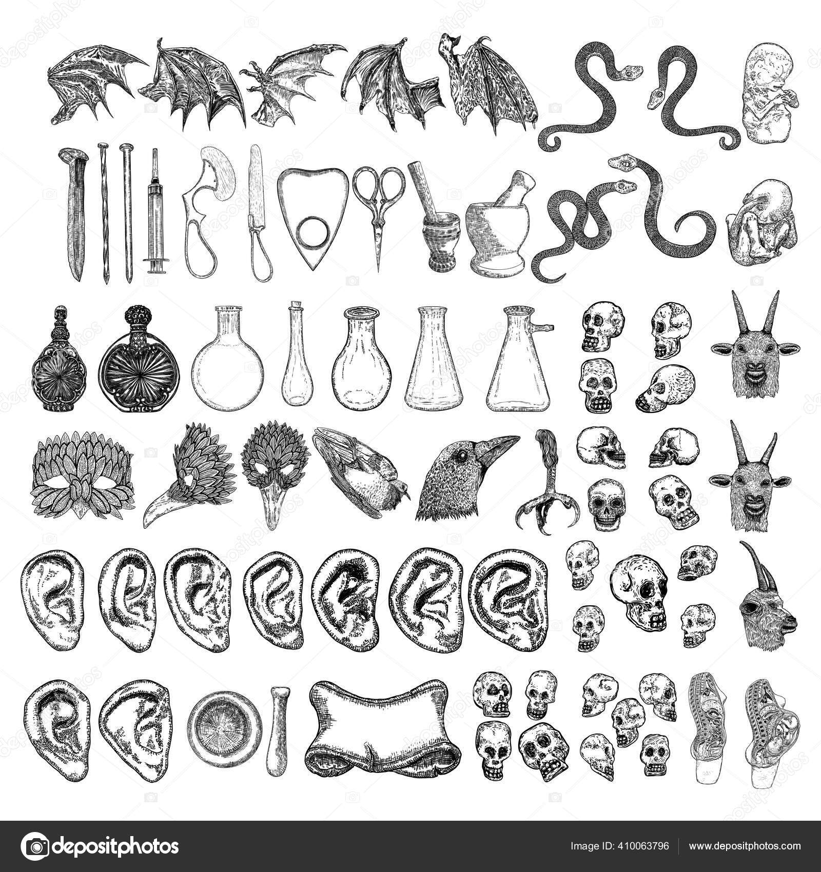 Random Magic Elements Set Witchcraft Spell Symbols Human Ear Vampire Stock  Vector by ©goldenshrimp 410063796
