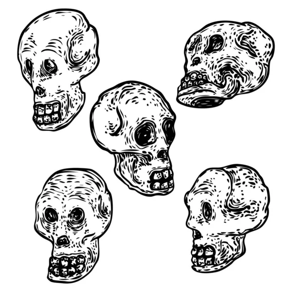 Set Decorative Human Skulls Different Directions Hand Drawn Illustration Stylized — Stock Vector