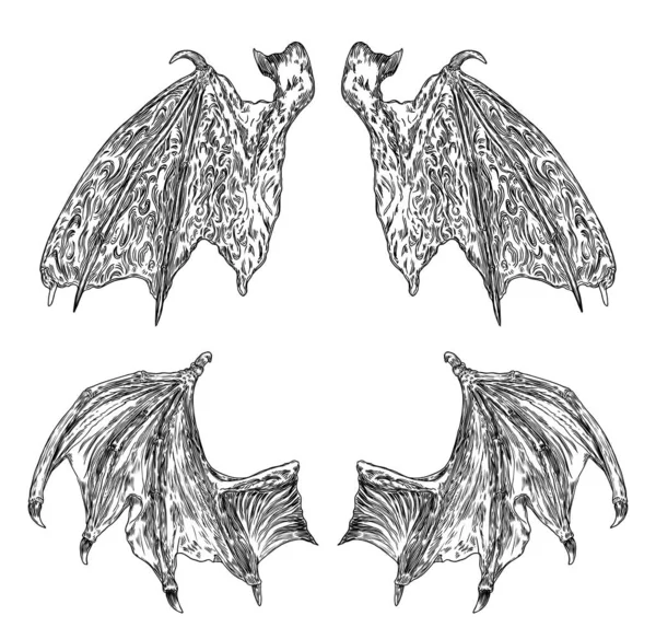 一组手工绘制的老式蚀刻木刻坠落的天使或吸血鬼细长的翅膀 龙翼或石榴翼 用于纹身和吉祥物设计的纹章翼 孤立的草图集合 — 图库矢量图片