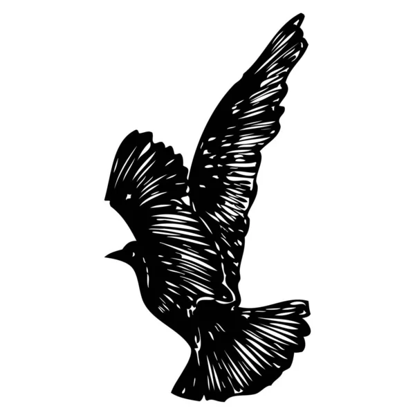 Odizolowana Sylwetka Ptaka Mewy Latającego Powietrzu Inspirujący Tusz Tatuażu Flash — Wektor stockowy