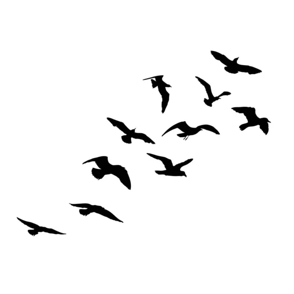 Ensemble Oiseaux Mouettes Croquis Tatouage Marin Nautique Coup Noir Silhouettes — Image vectorielle