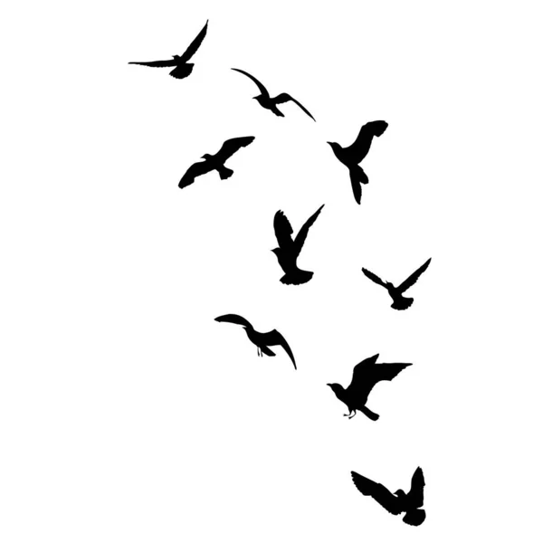 Ensemble Silhouettes Oiseaux Mouettes Volantes Sur Fond Blanc Inspiration Corps — Image vectorielle