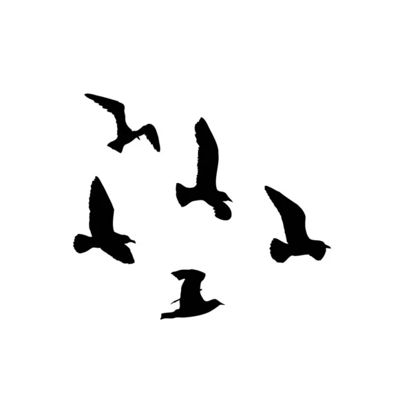 背景为白色的海鸥群的轮廓 振奋人心的海鸟身上闪烁着纹身墨水 — 图库矢量图片
