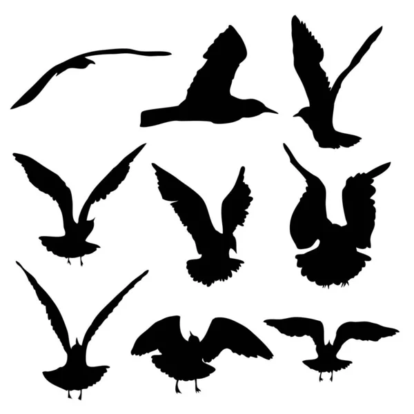 Conjunto Silhueta Gaivotas Voadoras Pássaros Fundo Branco Inspiração Corpo Flash —  Vetores de Stock