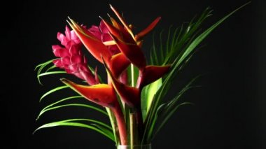 Güzel bir buket tropikal egzotik çiçek. Yağmur ormanlarından ya da bahçelerden Heliconia Rostrata çiçeklerinin yakın plan çekimi. Cennet Kuşu ve Istakoz Pençesi eğreltiotu ile yaprak arkaplan.