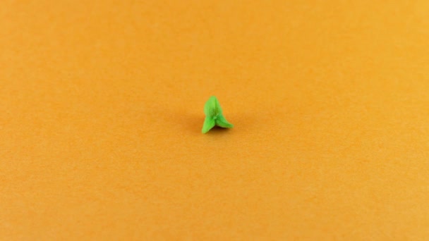 Stop motion of various seeds, crops grain, berry buds and nuts at orange background. 추수 감사절 개념. 가정과 야생 농업과 정원가꾸기. 환경적으로 의식하는 유기 식품. — 비디오