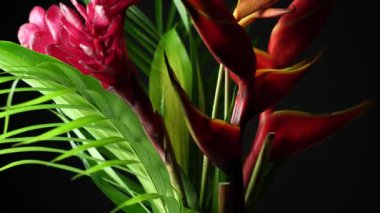 Güzel bir buket tropikal egzotik çiçek. Yağmur ormanlarından ya da bahçelerden Heliconia Rostrata çiçeklerinin yakın plan çekimi. Cennet Kuşu ve Istakoz Pençesi eğreltiotu ile yaprak arkaplan.