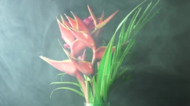 Ormandaki yağmur sisinde bir buket tropik egzotik çiçek. Yağmur ormanları bahçesinden Heliconia Rostrata çiçek aranjmanının yakın çekimi. Cennet Kuşu ve Istakoz Pençesi eğreltiotu ile yaprak arkaplan.