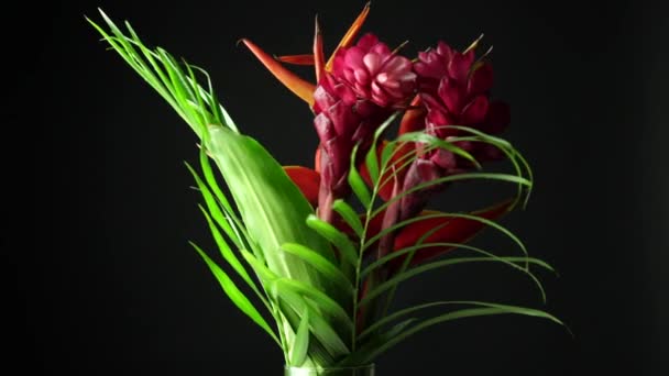 Beautiful bouquet of tropical exotic flowers. Close-up shot of Heliconia rostrata floral arrangement from rainforest or garden. Leaf background with Bird of paradise and Lobster Claw fern. — Stock Video