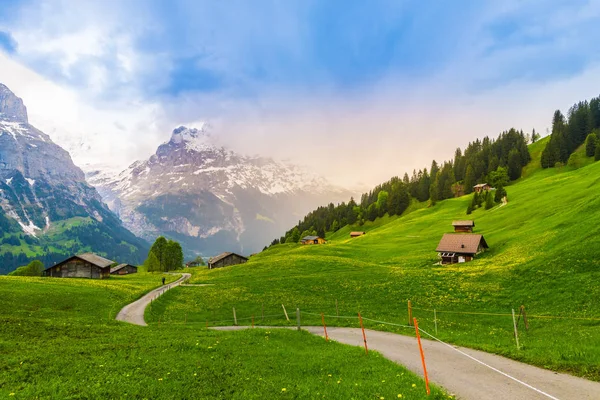 Beautiful Landscape Grindelwald Switzerland Best Place Adventure Travel — стоковое фото