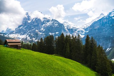 Güzel manzara, Grindelwald, İsviçre, sergüzeşt seyahat etmek için en iyi yer