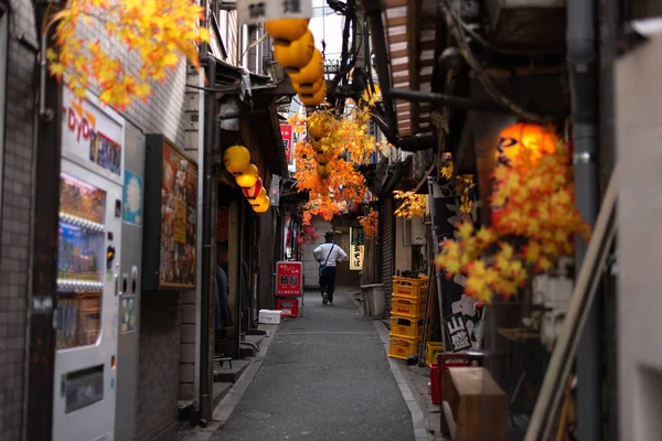 日本东京 2018年10月24日 日本东京新宿的小明单城 著名的男女同场散步的地方 在秋天装饰着红枫叶 现在东京正在为日本2020年奥运会做准备 — 图库照片