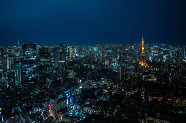 beautiful view of tokyo city with tokyo tower