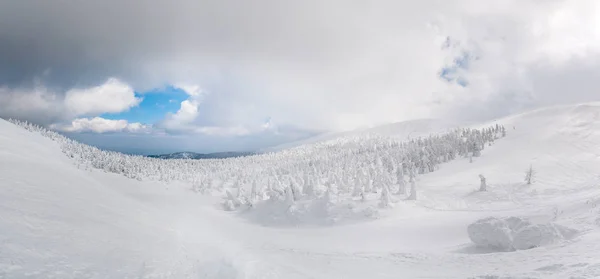 Panoramablick auf Schneemonster auf mt.zao — Stockfoto