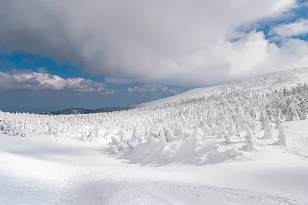 Vista panoramica del mostro della neve sul Monte Zao — Foto Stock