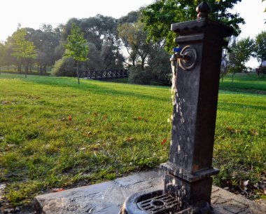 Bursa, Türkiye 'de Yeşil Çimenler Vakfı