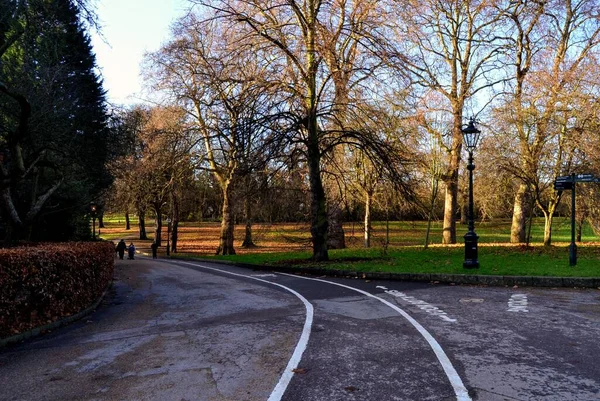 Londra Daki Güzel Parklar Regents Park James Parkı Yeşil Mavi — Stok fotoğraf