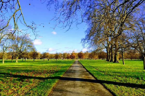 Londra 'daki güzel parklar. Regents Park, St. James Parkı. Yeşil ve mavi gökyüzünde birlikte kalır. Sonbaharda.