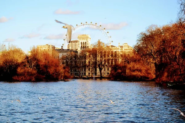 Hermosos Parques Londres Regents Park James Park Verde Azul Permanecen — Foto de Stock