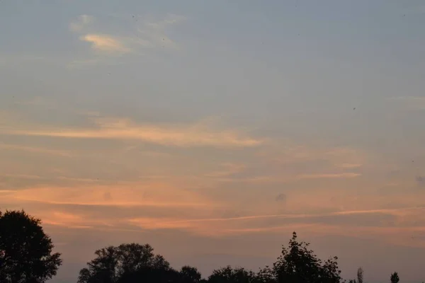 Ciel Coloré Pendant Coucher Soleil Silhouette Minaret Grands Arbres — Photo