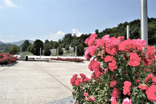 Monumento Srebrenica Nombre Por Nombre Con Una Rosa Marchita Bosnia — Foto de Stock