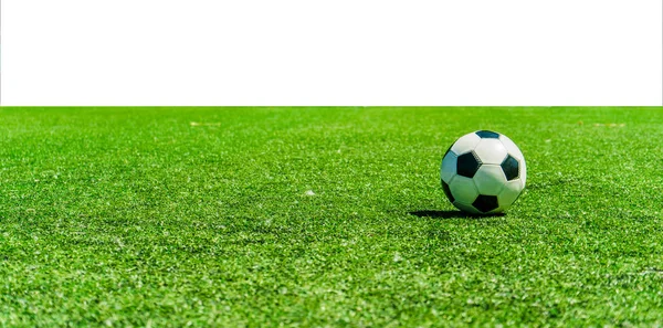 白い背景に 草の上のサッカー ボール — ストック写真