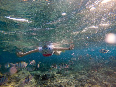 Kızıldeniz dalış kadın