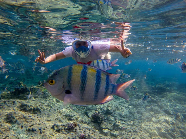 妇女浮潜在蓝色的水 浮潜显示拇指在全面罩 夏季活动 美丽的海水中的女孩 海洋景观水下照片 海滨探险 热带海水运动 — 图库照片#