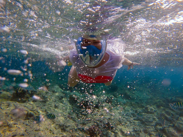 妇女浮潜在蓝色的水 浮潜显示拇指在全面罩 夏季活动 美丽的海水中的女孩 海洋景观水下照片 海滨探险 热带海水运动 — 图库照片#