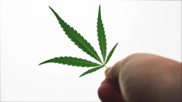 Медицинский марихуана видео эффект от марихуаны описание