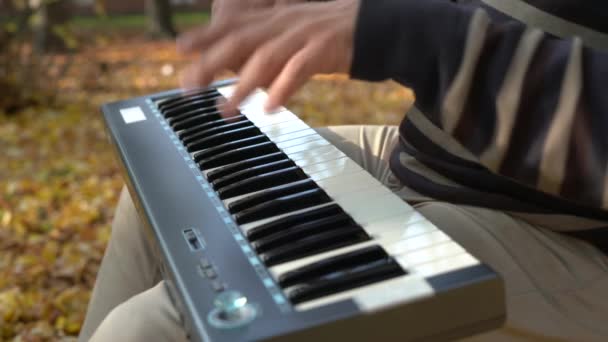 Παίζει Συμφωνική Μουσική Πιάνο Midi Closeup Ini Πάρκο — Αρχείο Βίντεο