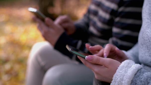 Due Persone Usano Telefono Nel Parco Autunnale Seduti Una Panchina — Video Stock