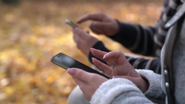 若い男性と女性は ベンチに座って秋の公園で携帯電話を使用します 女の子の手に焦点を当てる — ストック動画