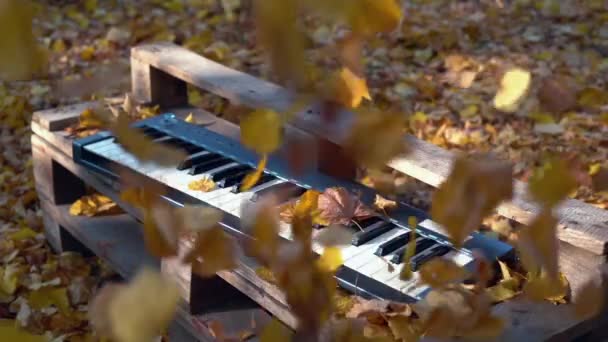 Sarı Yaprakların Üzerine Ormandaki Synthesizer Yatıyor Sarı Yapraklar Birleştirici Üzerinde — Stok video
