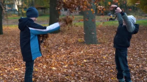 Due Fratelli Che Giocano Lanciano Foglie Gialle Nel Parco Autunnale — Video Stock