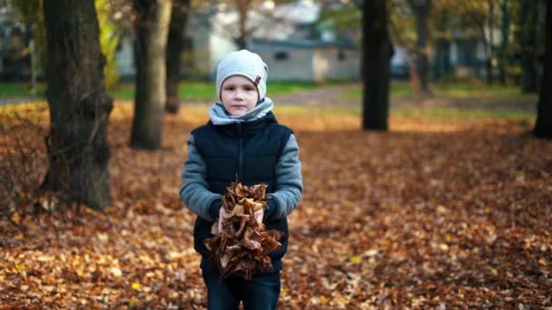 Šťastné Dítě Hrát Venku Podzimním Parku Vyvolá Žluté Listy — Stock video