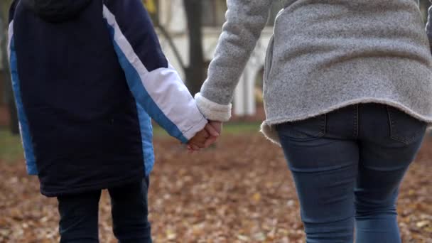 Mutter Und Sohn Spazieren Herbstpark Mutter Und Sohn Gehen Hand — Stockvideo